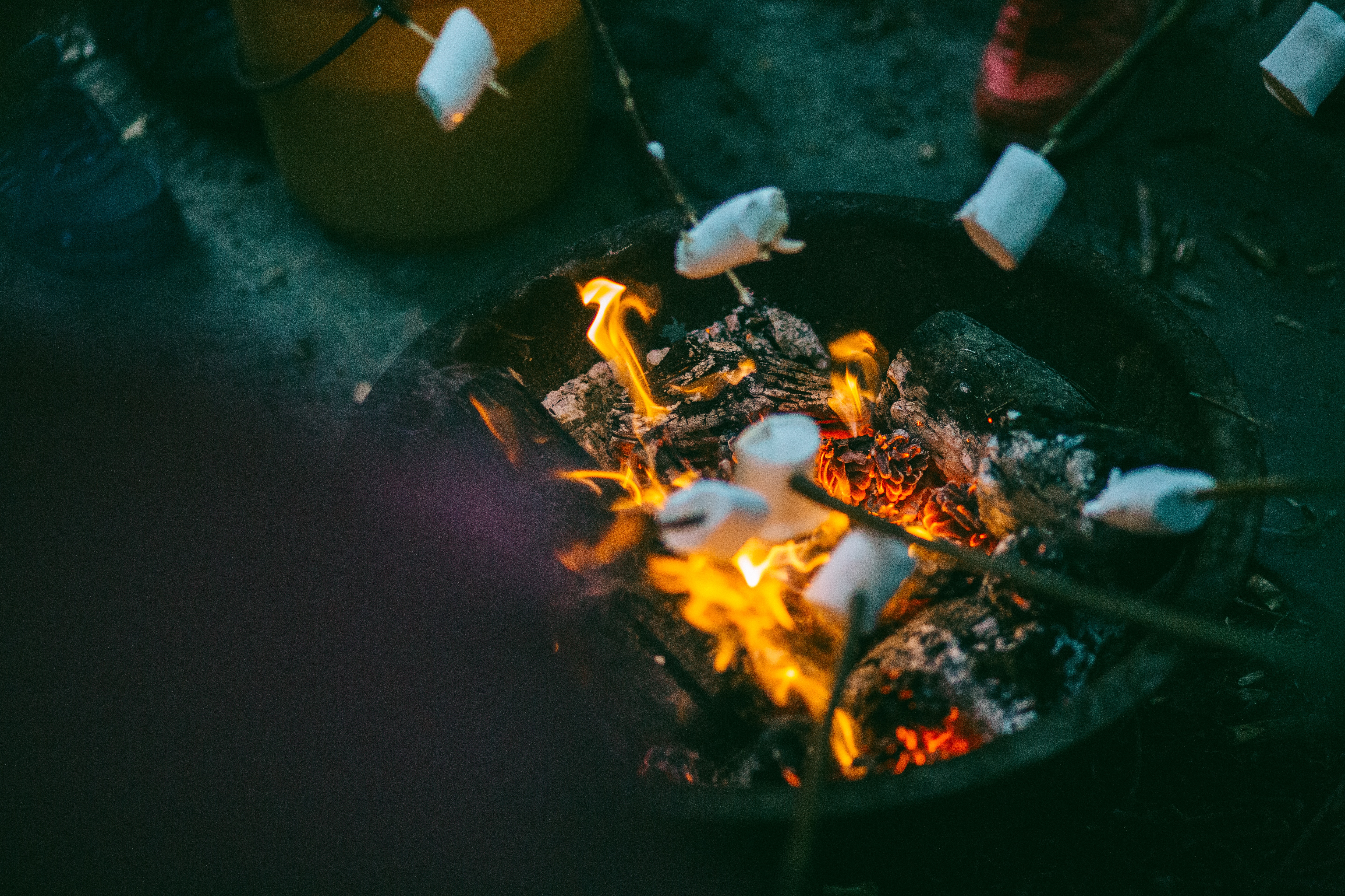marshmallows and campfire