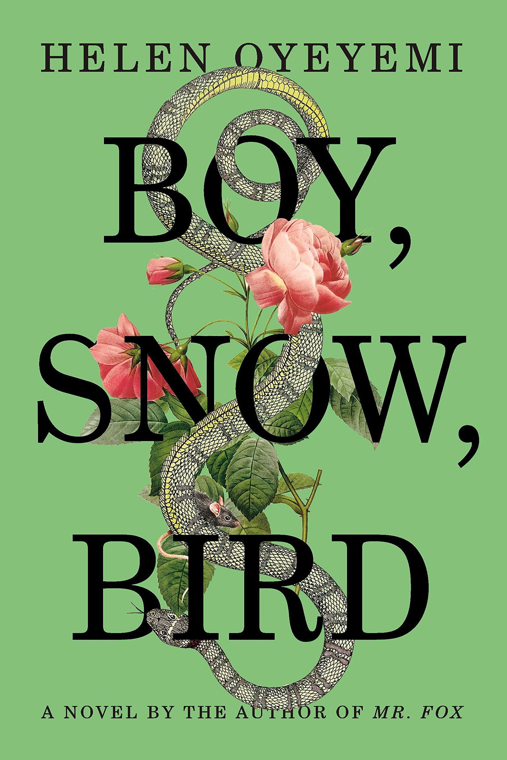 Boy, Snow, Bird book cover 