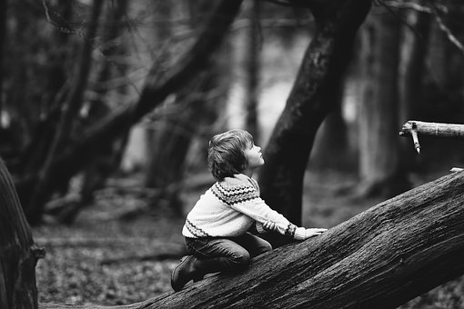 boy in the woods 
