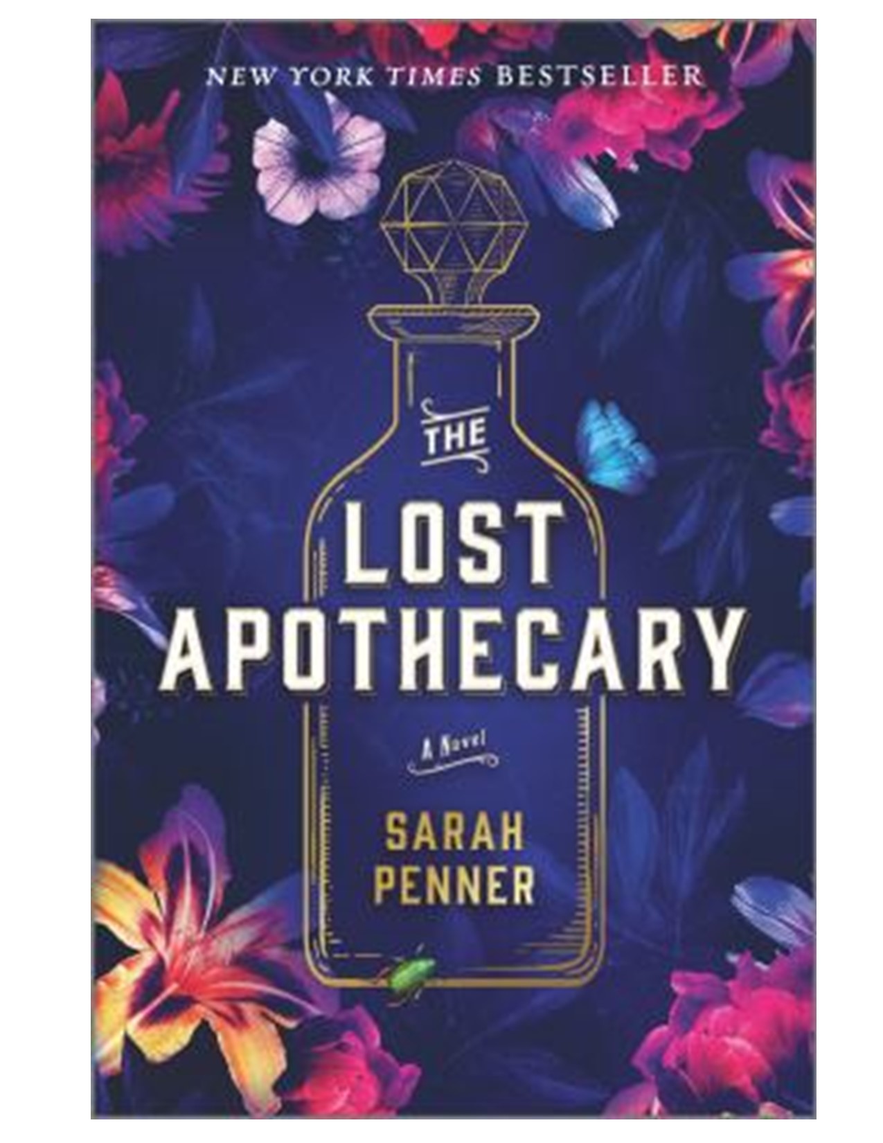 Book cover for The Lost Apothecary