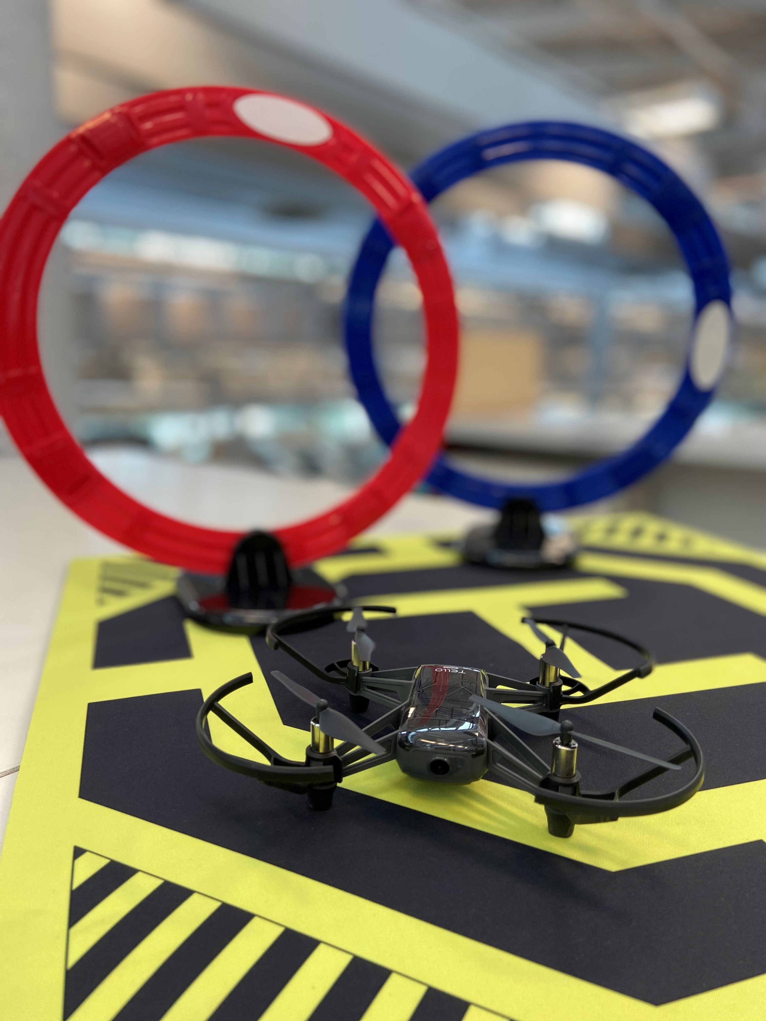 Drone Obstacle Course Rings