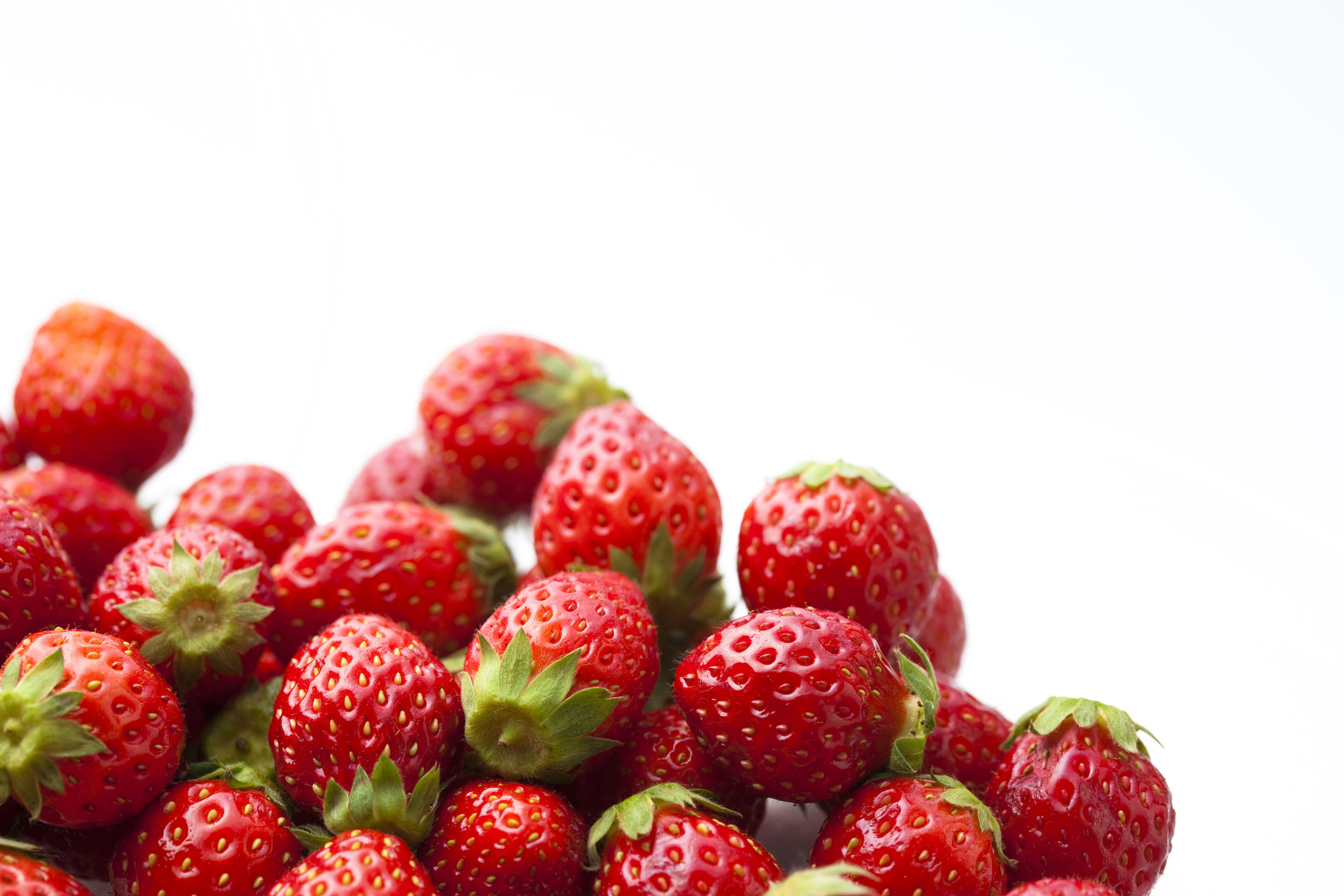 strawberries on white background 