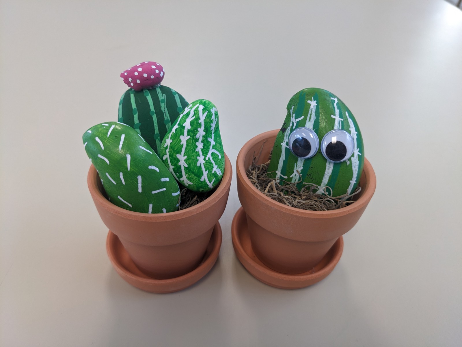 one clay pot with 3 painted rocks to look like cactus and a second pot with a cactus with googly eyes