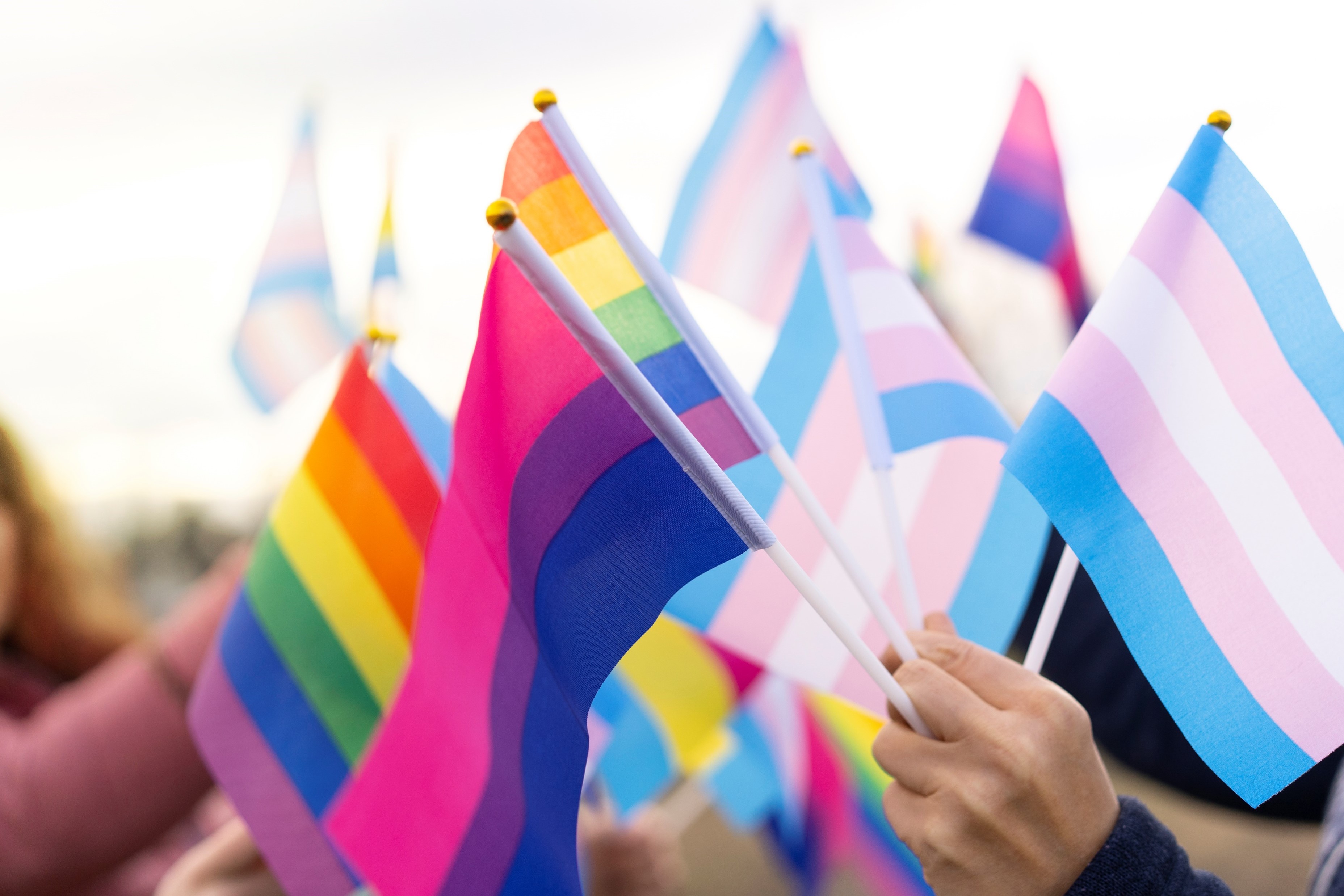 Rainbow, bisexual, and transgender pride flags