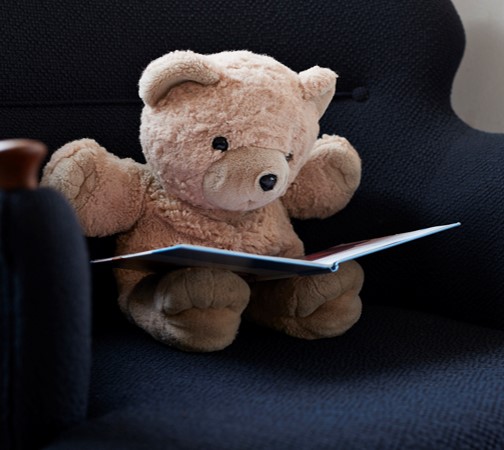 teddy bear reading