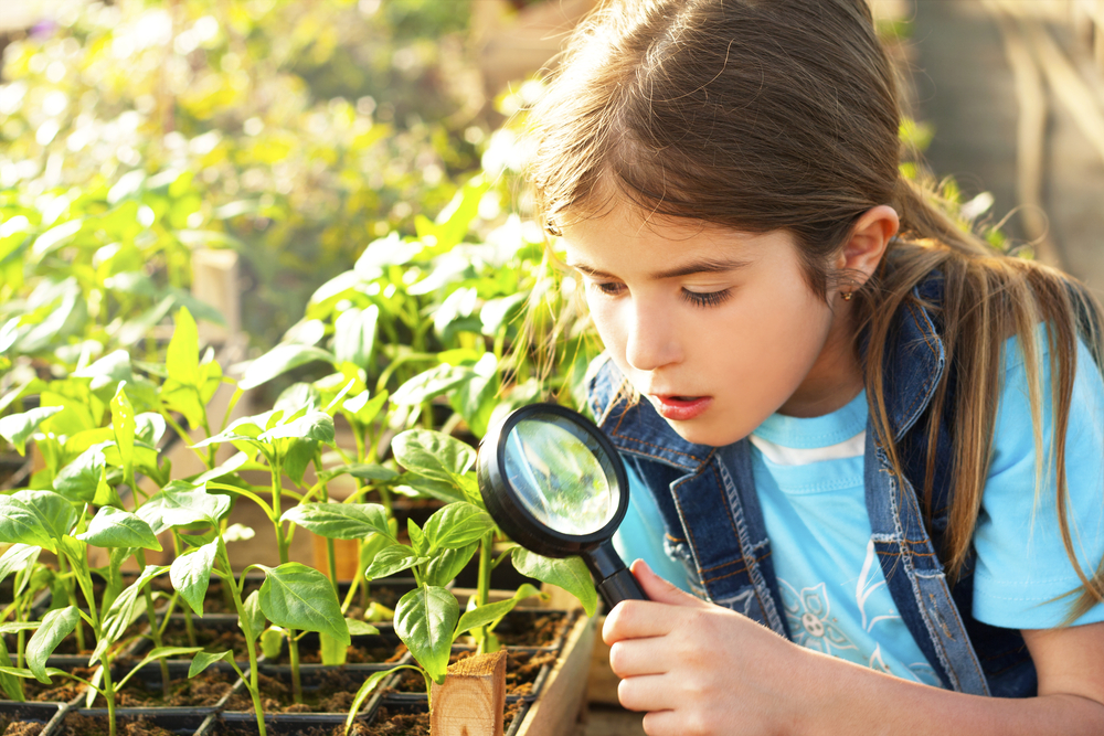 Little girl with magnifying glass outdoors exploring nature