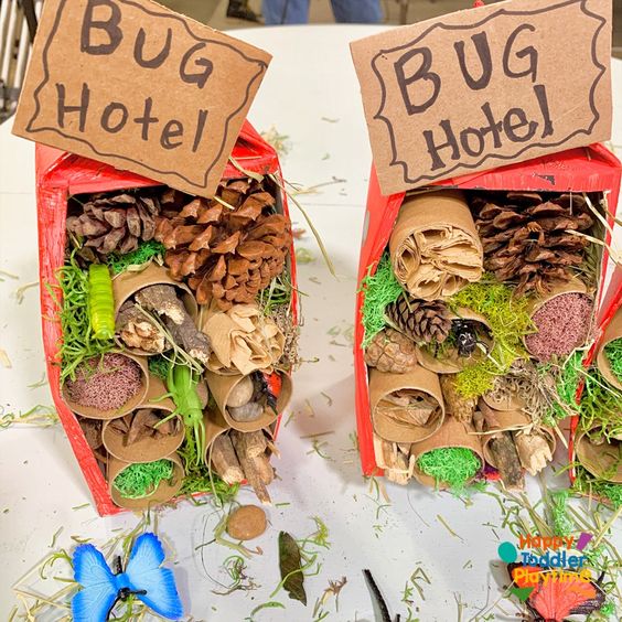 bug hotel