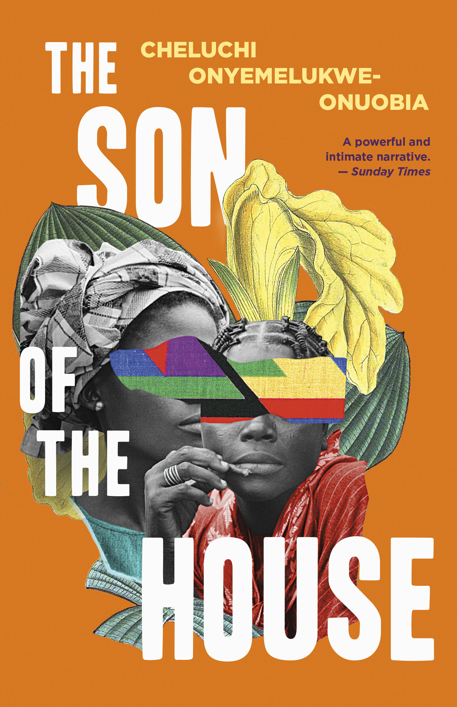 The cover of The Son of the House.