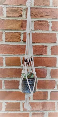 Macramé plant hanger holding a small succulent plant