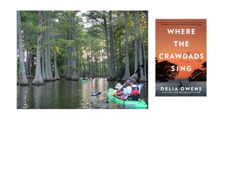 People kayaking on a lake and cover of Where the Crawdads Sing