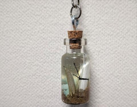 tiny corked bottle with message, sand, gravel, and plant piece