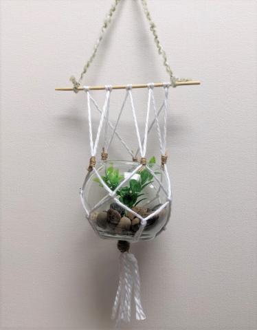 glass bowl with green plant and rocks inside yarn macramé holder 