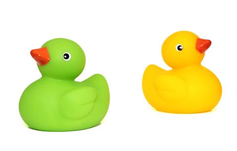 green rubber duck and yellow duck against a white background