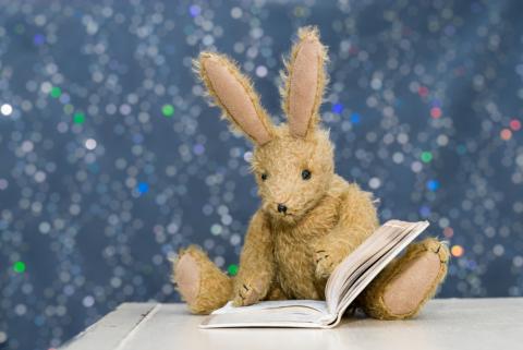 Stuffed bunny reading a book