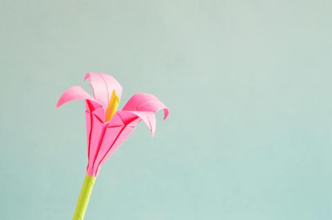 pink origami flower against sage colored background