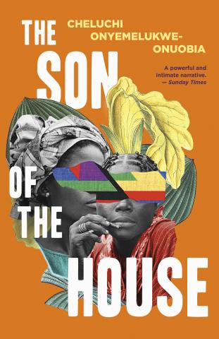 The cover of The Son of the House.