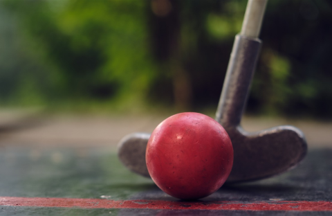 a red ball and black golf club