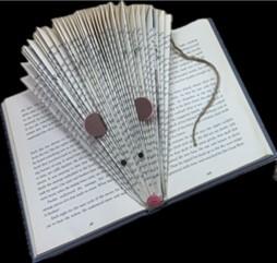 Mouse Book Folding