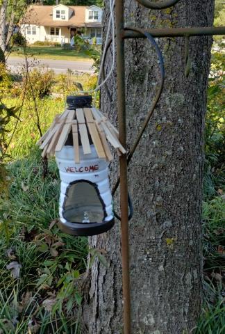 Bird feeder hanging on pole in front of tree