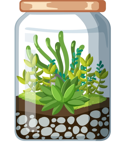 illustration of plants growing from rocks and soil in a mason jar