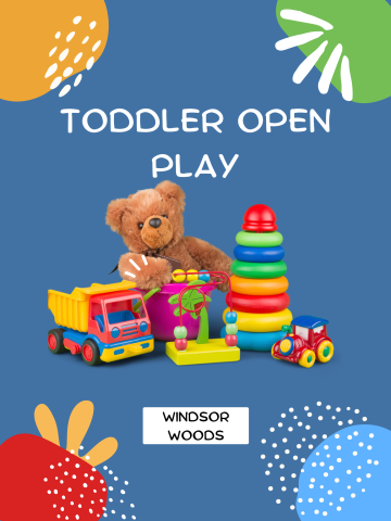 Toddler Open Play