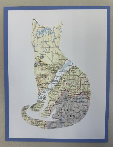 Shape of cat cut from a map and mounted on a white background