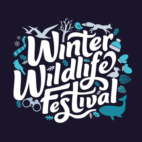 logo for Winter Wildlife Festival 2026