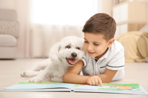 child reading to dog
