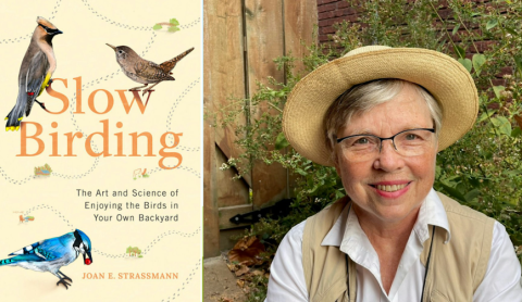 Book Cover of Slow Birding and Picture of Joan Strassman outdoors wearing a hat