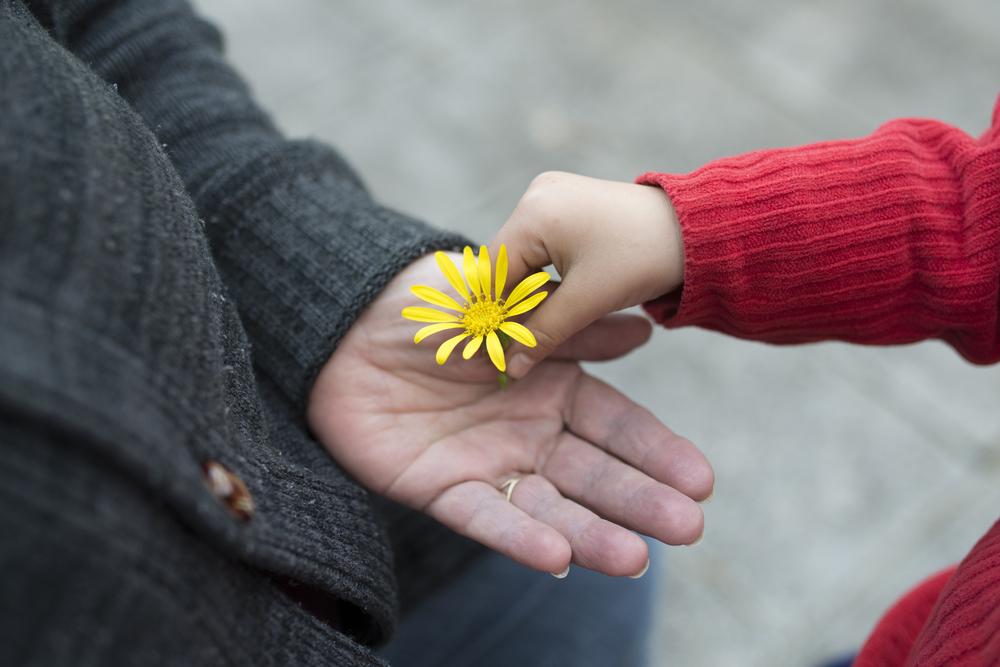 sharing flower