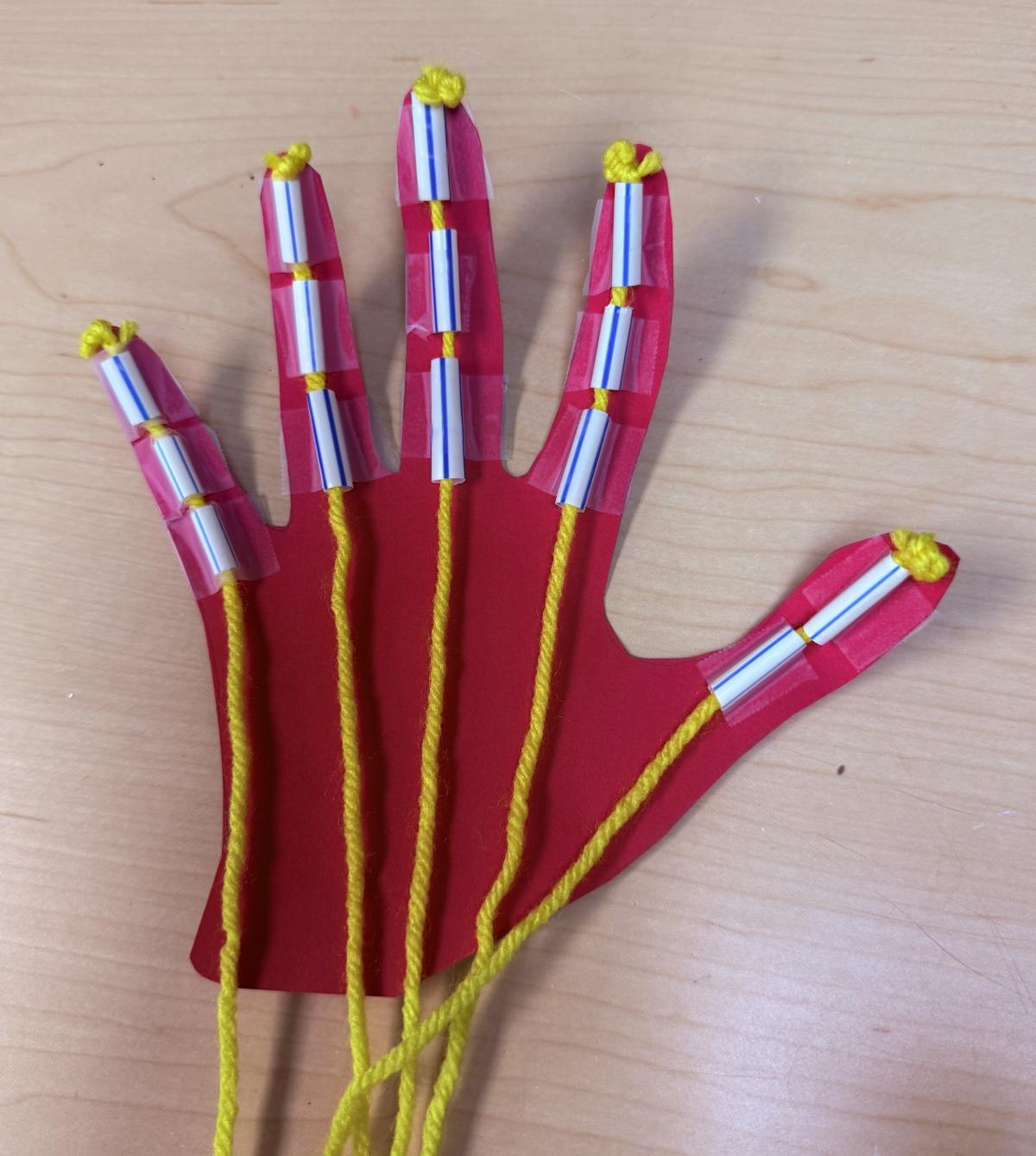 Hand made out of paper using drinking straws as tendons 
