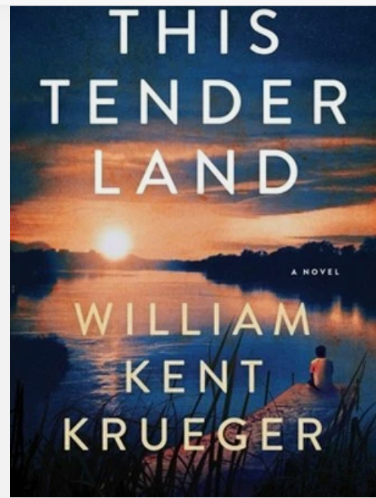 Book cover of This Tender Land