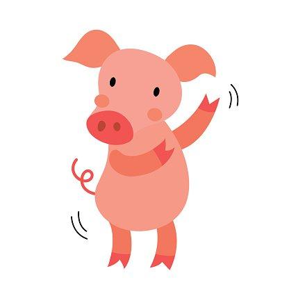 dancing pig