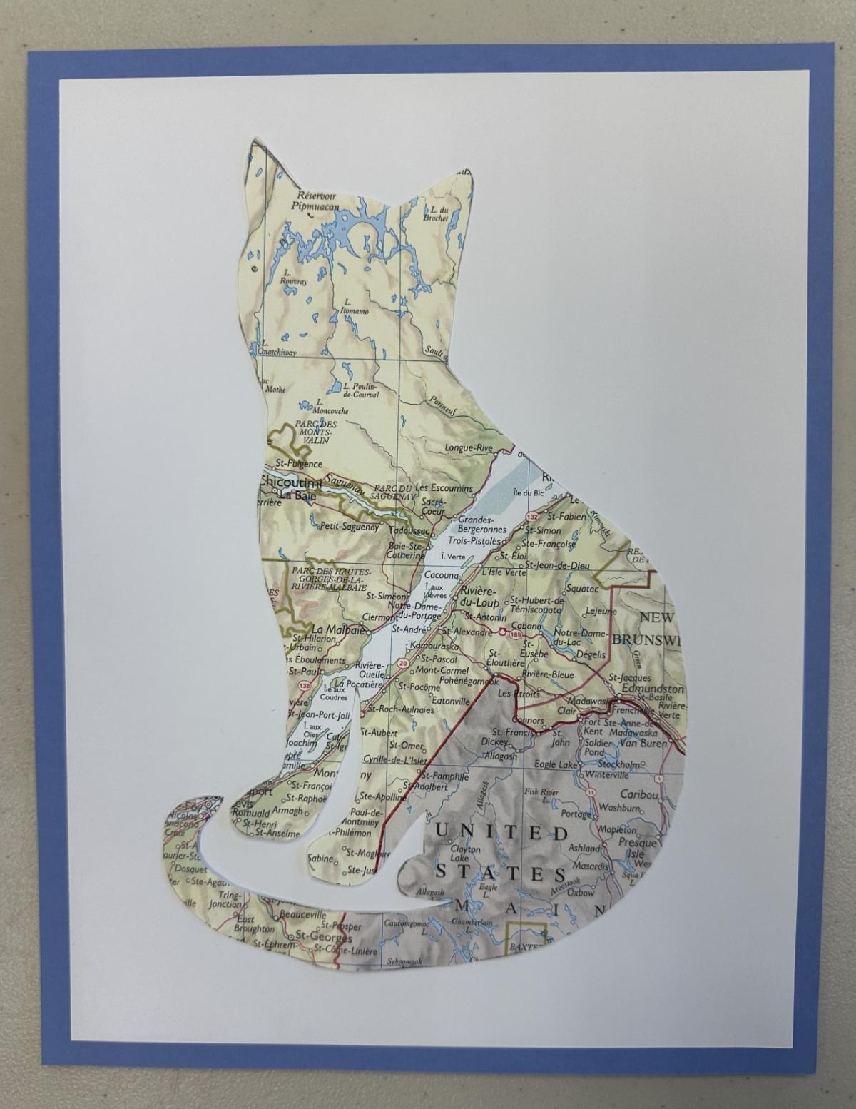 Shape of cat cut from a map and mounted on a white background