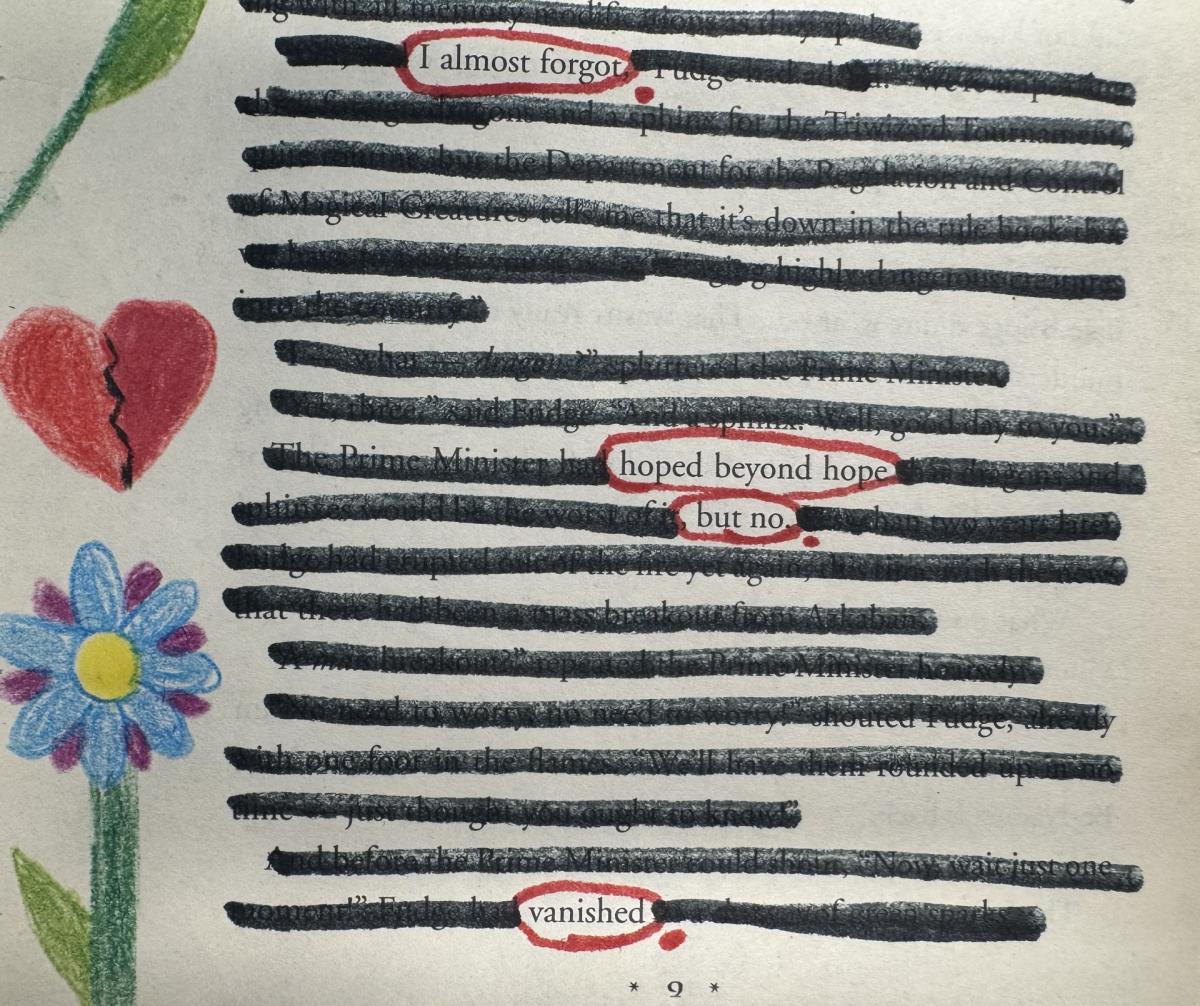 paper with lines blacked out and words circled in red