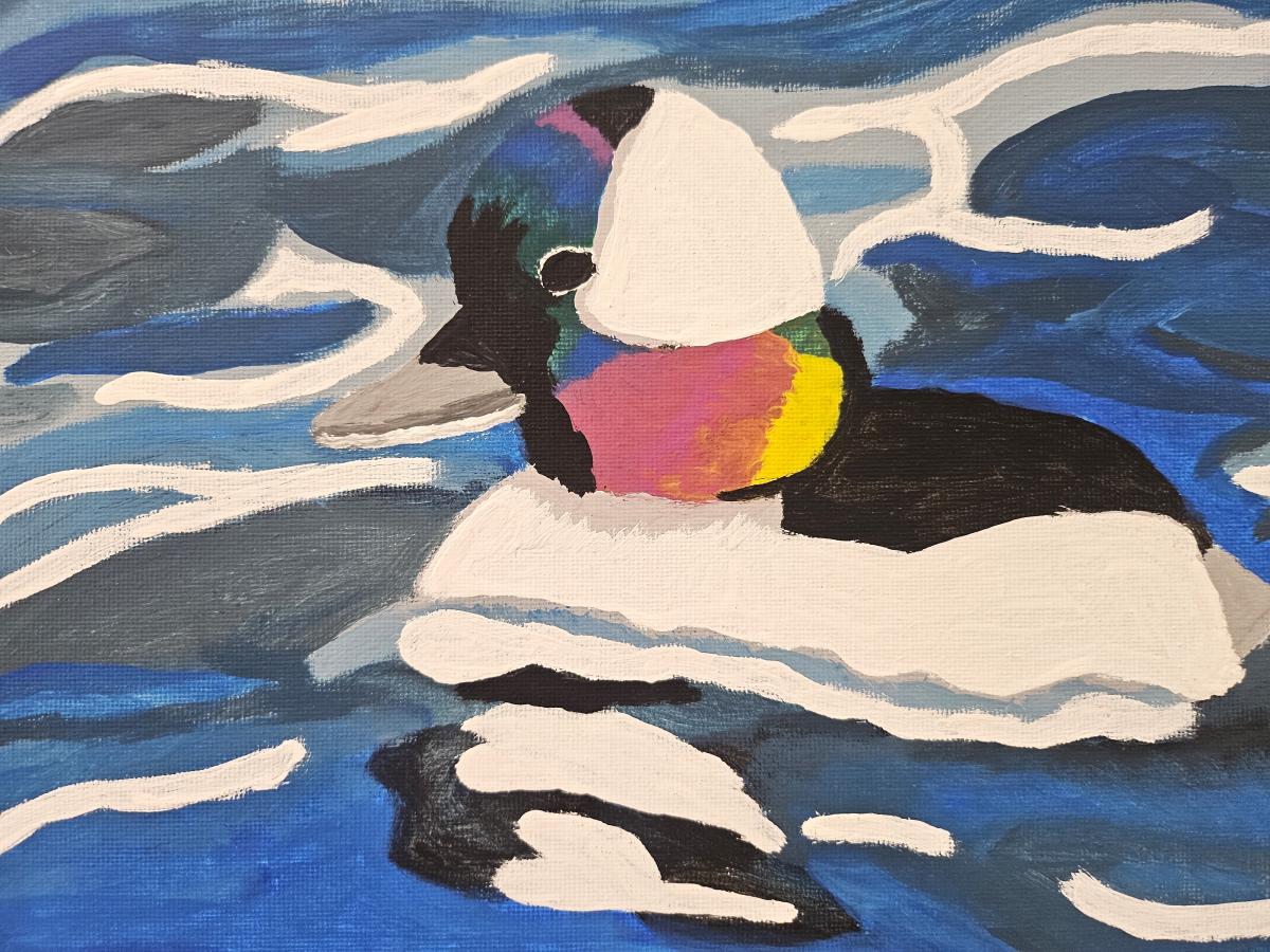 Painting of a bufflehead duck in water