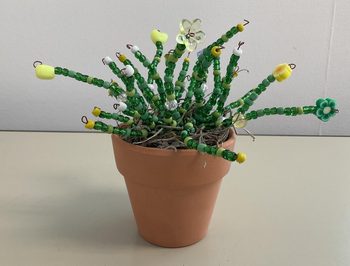 beaded plant in a terracotta pot